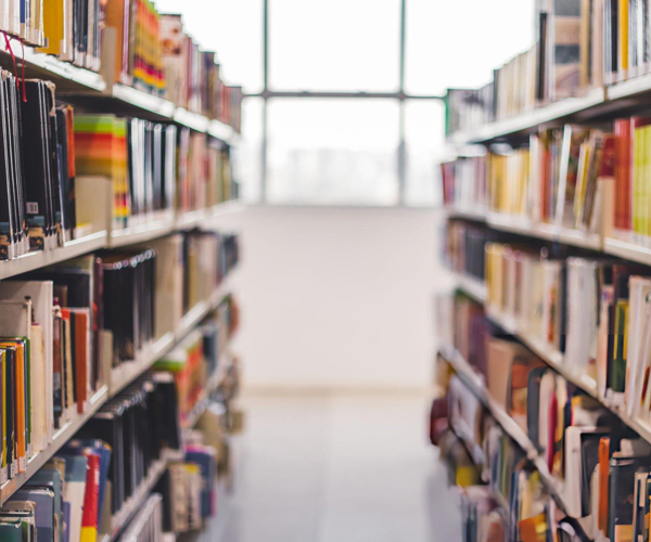 Library Details